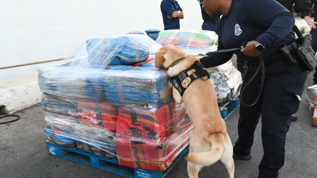 USCG Tampa offloads $12.3 million in seized drugs after Caribbean bust